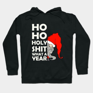 Ho Ho Holy Sh1t what a ywar Hoodie